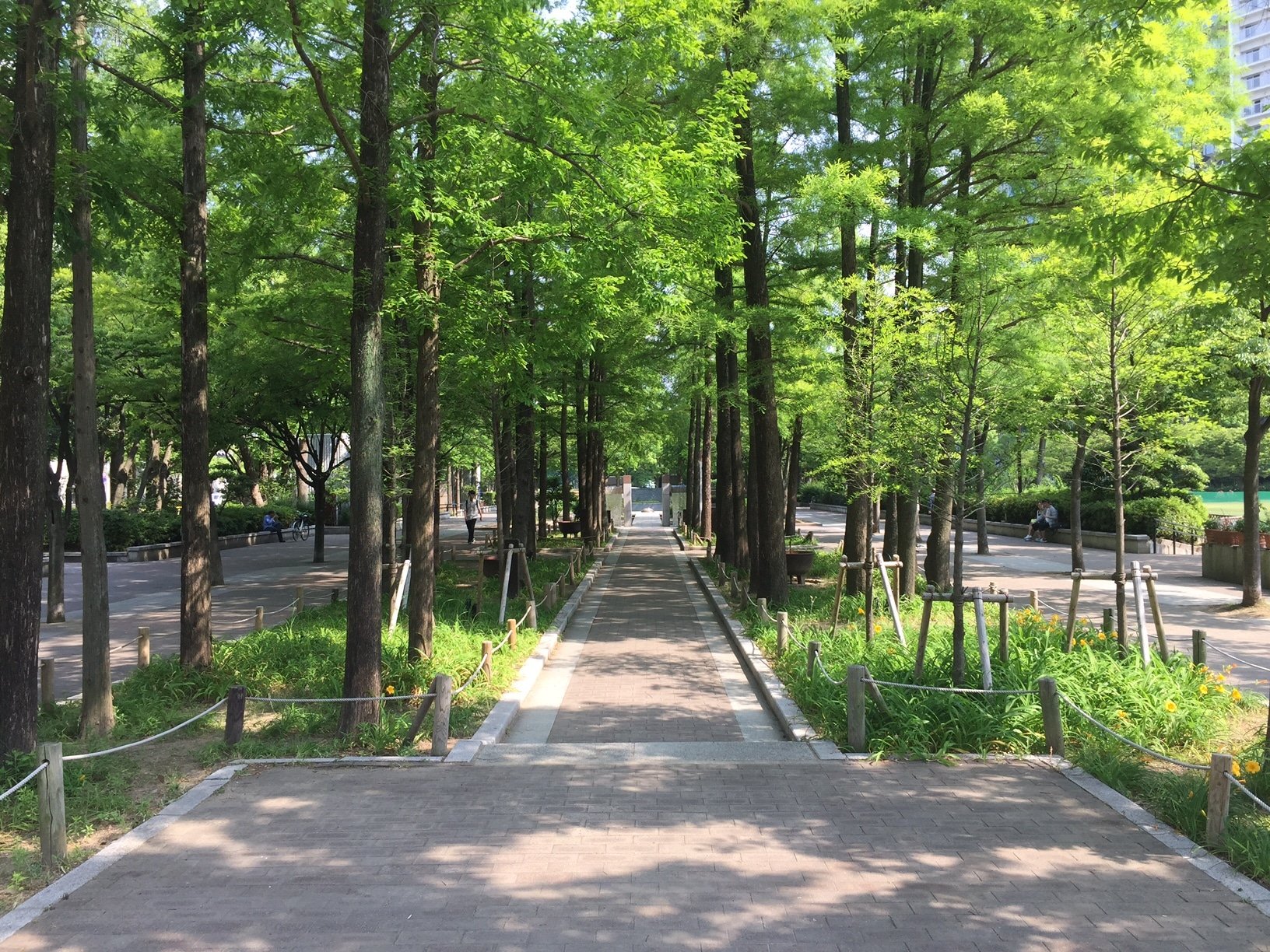 🌳 동유원지 (히가시유엔치 공원) 이미지 5